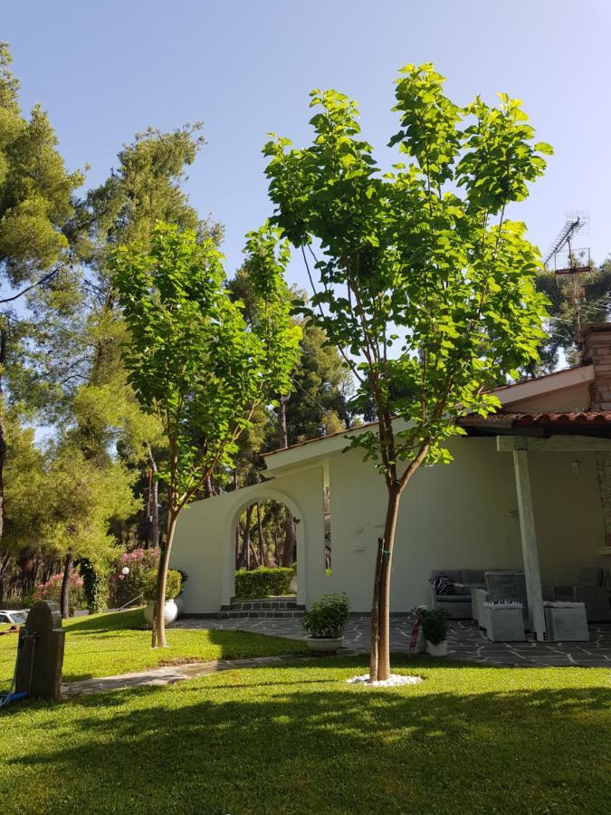 Sani Villa Christy Bagian luar foto